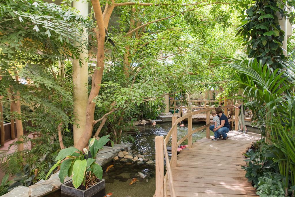 Center Parcs Port Zelande Beach 奥德多普 外观 照片