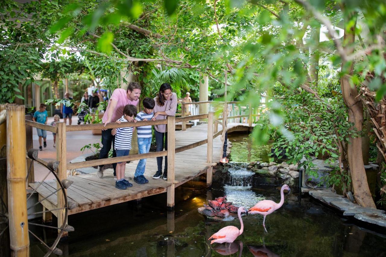 Center Parcs Port Zelande Beach 奥德多普 外观 照片